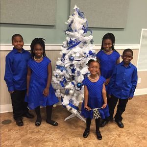 Royal Blue Skater Dress